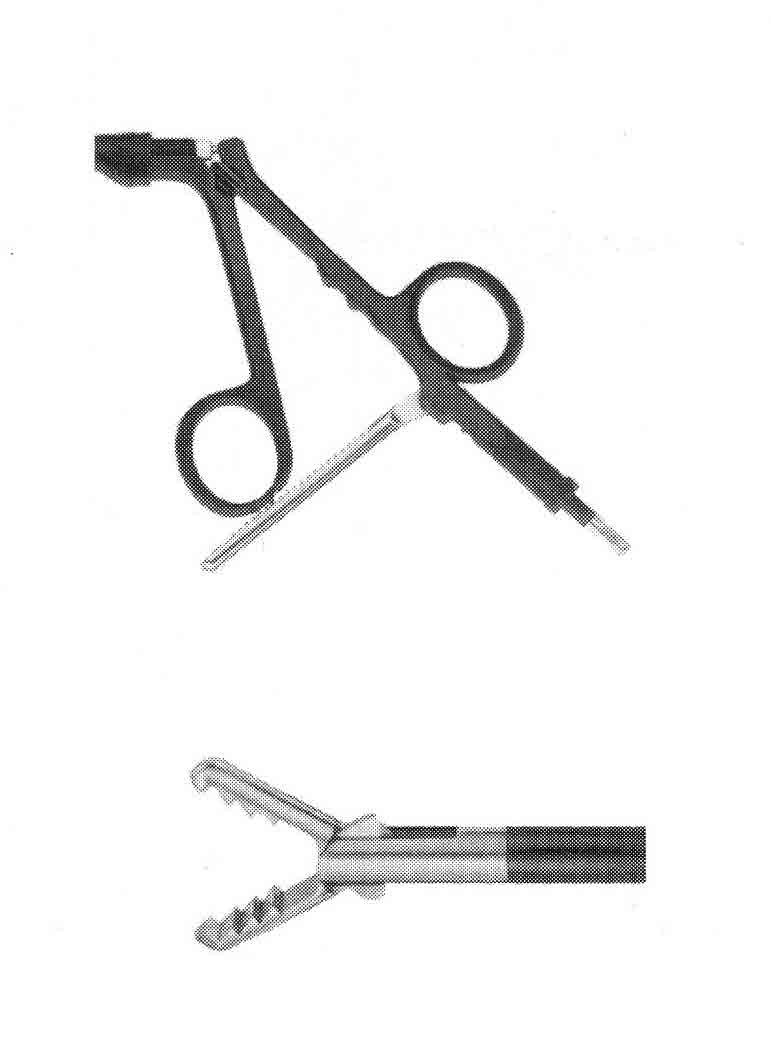 BALIK AĞIZLI FORSEPS ÇAP :5 MM